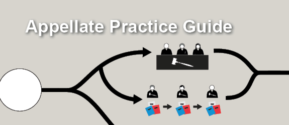 Appellate Practice Guide